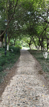休閑步道
