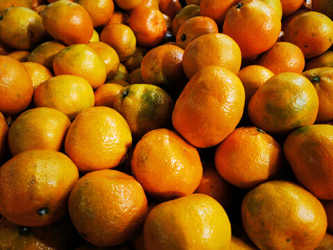 新鲜的蜜橘