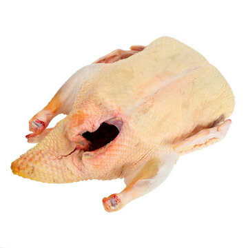 土鴨肉