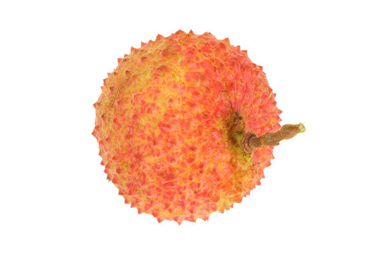 荔枝