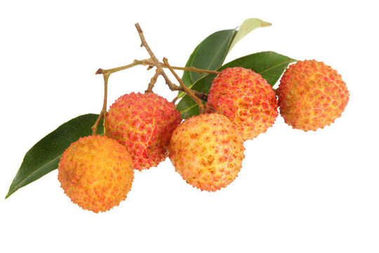 荔枝