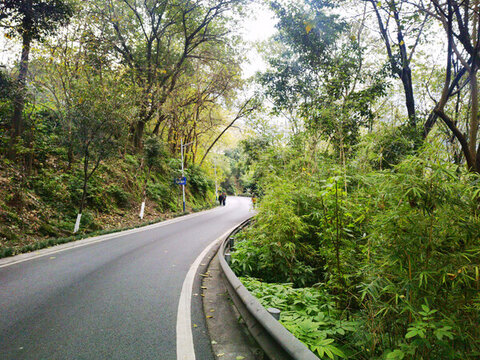 景區(qū)里的瀝青公路