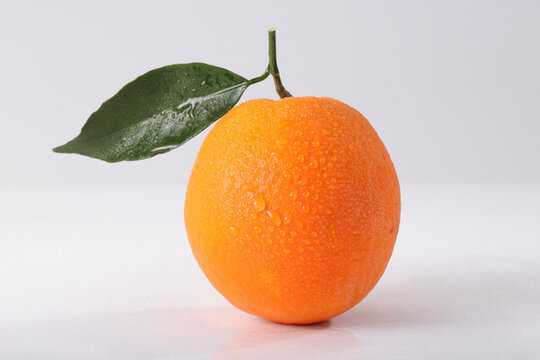白色背景上的一颗新鲜脐橙