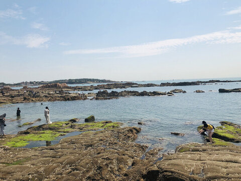 青島