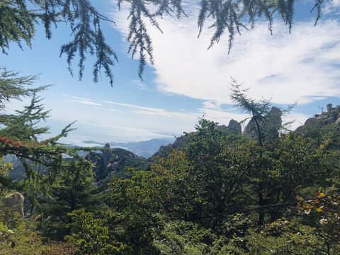 青島