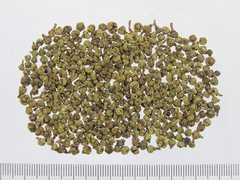 吳茱萸中花