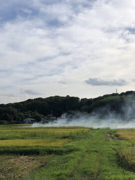 日本農(nóng)村稻田燒荒現(xiàn)場
