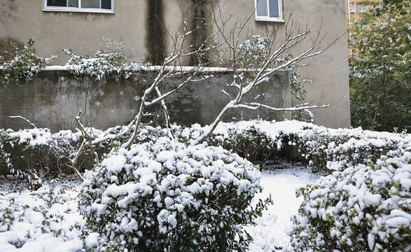 小區(qū)雪景