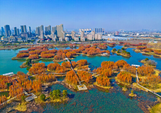 南昌魚尾洲公園秋景