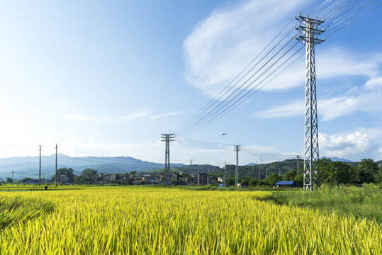 田間電塔