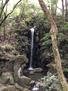 日本成田山公園里的山澗小瀑布