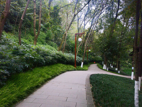 公園里的步道
