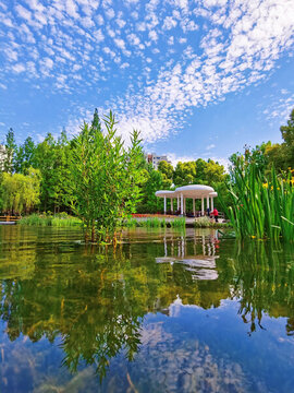 上海三泉公園