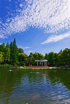 上海三泉公園