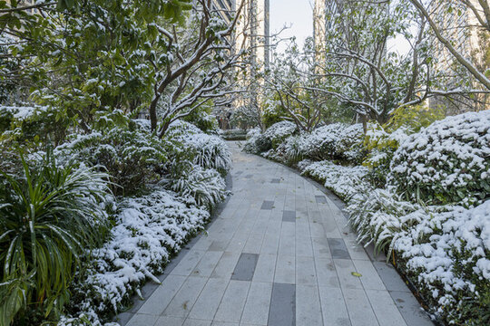 小區(qū)道路雪景