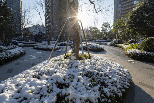 冬季雪景日出陽(yáng)光