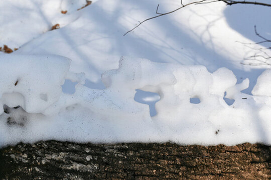 冬季山坡上落在倒下樹(shù)木上的積雪