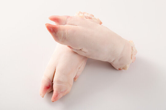 生豬肉生豬蹄