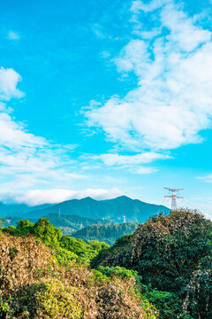 綠色山林