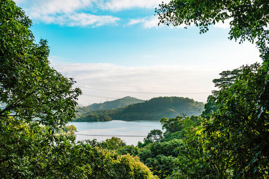 深圳水庫(kù)
