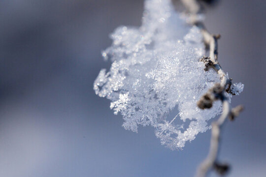 冬天霧凇雪花特寫