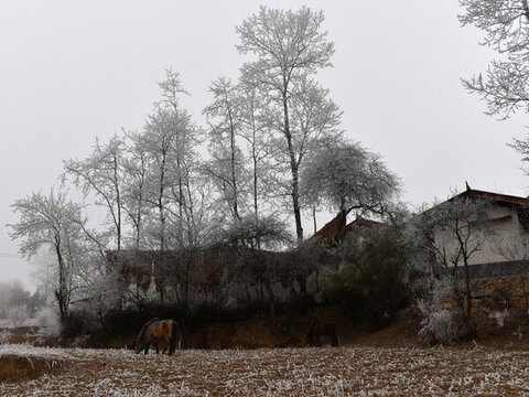 大涼山農(nóng)村雪景