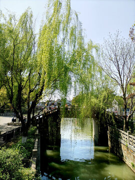 江南風(fēng)光