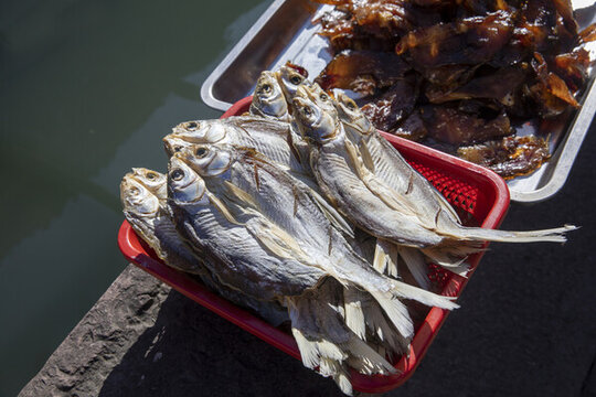 江南漁家農(nóng)家曬青魚(yú)干