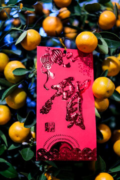 發(fā)財(cái)樹紅包