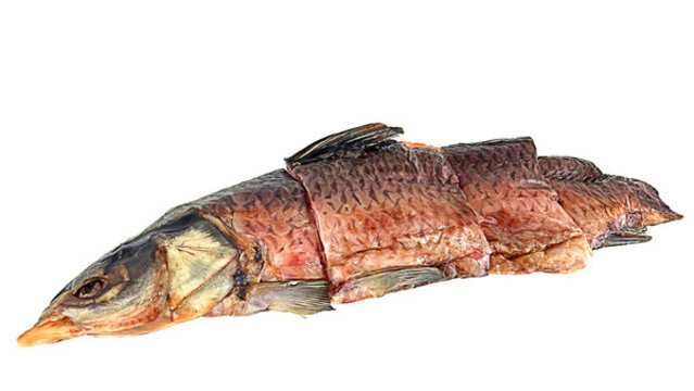 水庫臘青魚