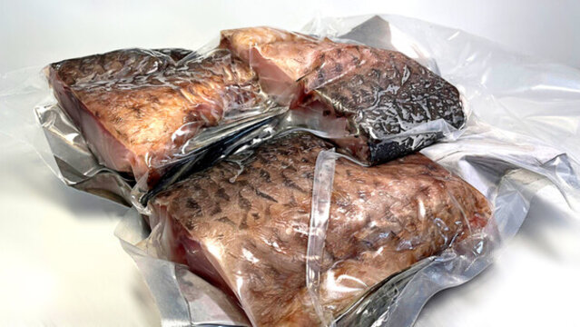 水庫臘魚