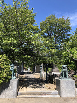 日本佛教寺廟表參道神獸石獸