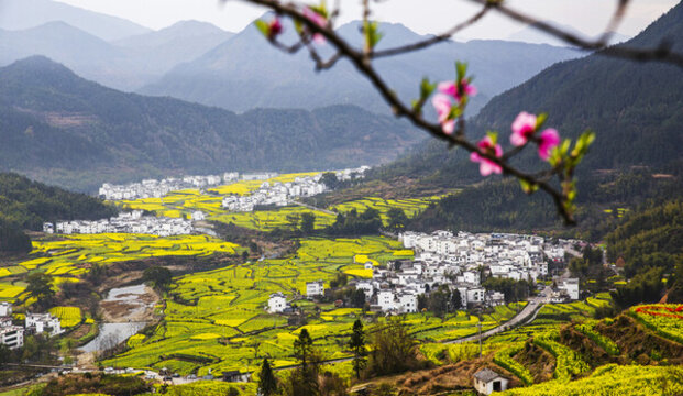 婺源江嶺