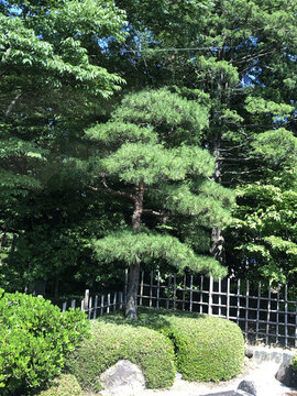 日本福岛四季之力园艺景观