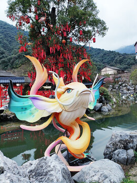 錦鯉