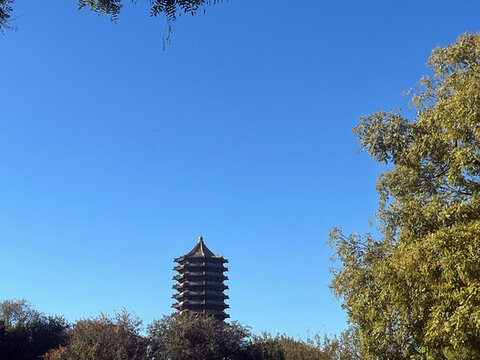 冬季里宁静的北京大学校园