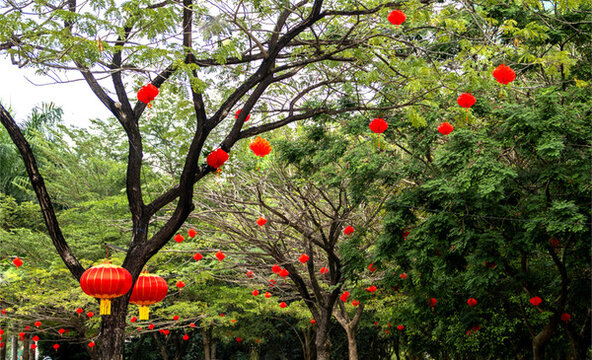 春節(jié)掛飾紅燈籠