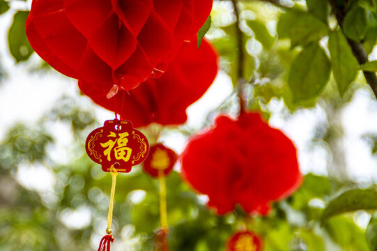 春節(jié)掛飾紅燈籠