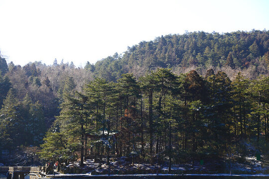 廬山風(fēng)景