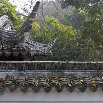 古建筑上的黃色落葉