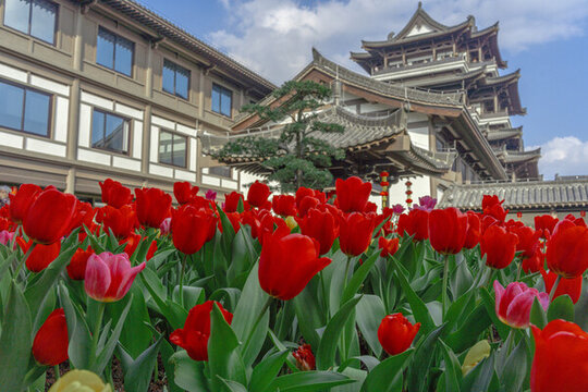 廣州文化館新館