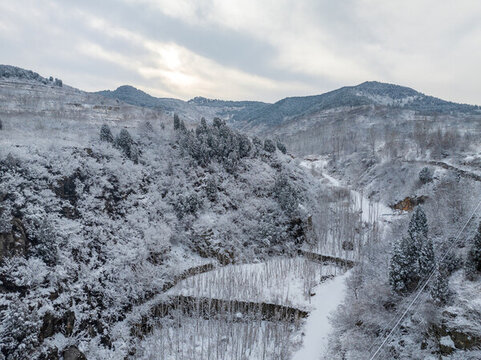 濟(jì)南彩西路雪景霧凇