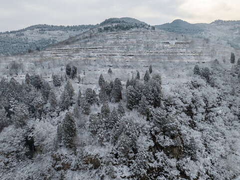 濟(jì)南彩西路雪景霧凇