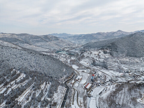 濟(jì)南彩西路雪景霧凇
