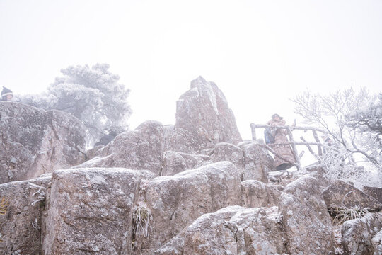 冬季雪后登山賞霧凇美景