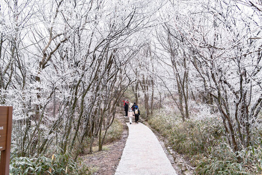 冬季雪后登山賞霧凇美景