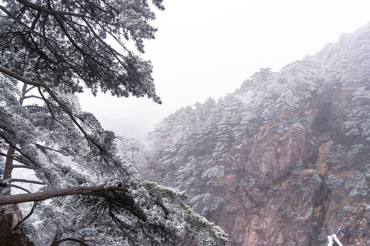 游覽黃山景區(qū)欣賞奇峰云海等美景