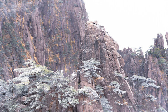 游覽黃山景區(qū)欣賞奇峰云海等美景