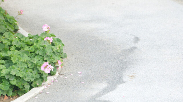 花壇