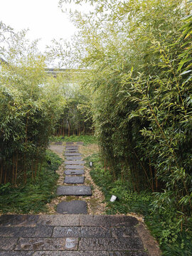南潯古鎮(zhèn)